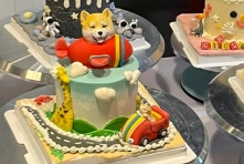 台灣芭克麗寵物烘焙大賽 彩虹橋蛋糕毛小孩思念勇奪冠軍